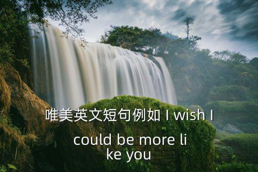 唯美英文短句例如 I wish I could be more like you