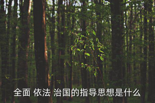 全面依法治國,依法治國就是依據(jù)憲法和法律治理國家