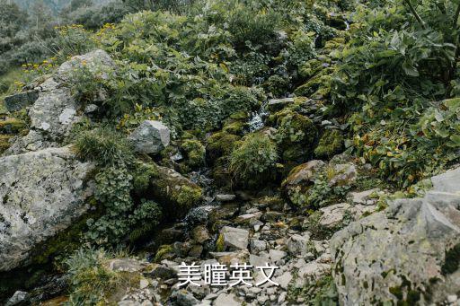 美瞳英文