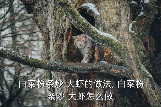  白菜粉條炒 大蝦的做法, 白菜粉條炒 大蝦怎么做