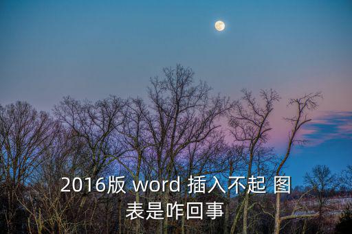 2016版 word 插入不起 圖表是咋回事
