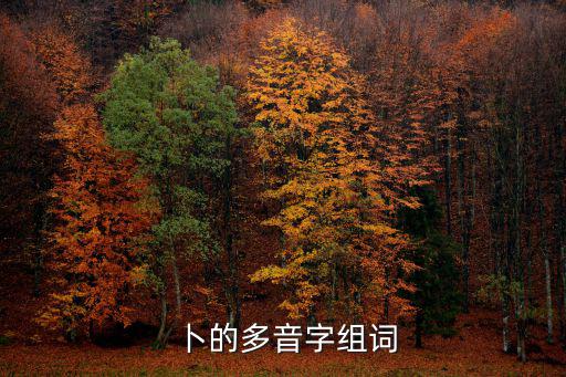 卜的多音字組詞