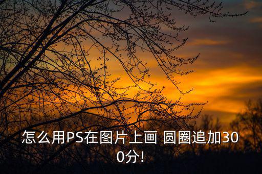 怎么用PS在圖片上畫 圓圈追加300分!