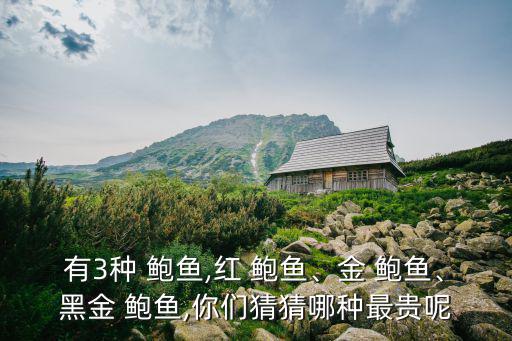紅嫩鮑魚,最大紅鮑魚產于美國加州又大又瘦