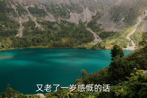 又老了一歲感慨的話
