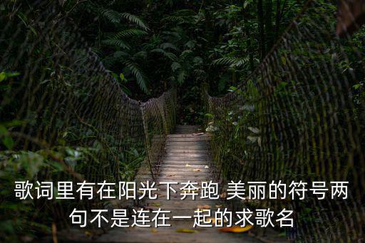 歌詞里有在陽光下奔跑 美麗的符號兩句不是連在一起的求歌名