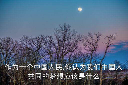 中國的夢想,回顧:中國夢:強(qiáng)國富民、美國夢