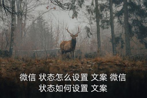  微信 狀態怎么設置 文案 微信 狀態如何設置 文案