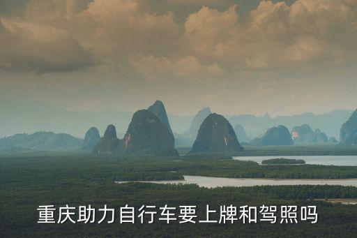 重慶助力自行車要上牌和駕照嗎