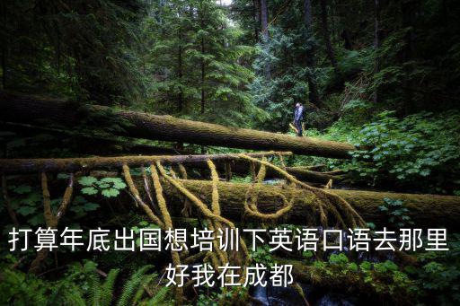 打算年底出國想培訓下英語口語去那里好我在成都