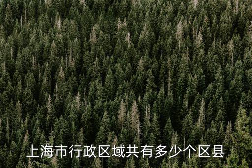 上海一共幾個區地圖，上海市行政區域共有多少個區縣
