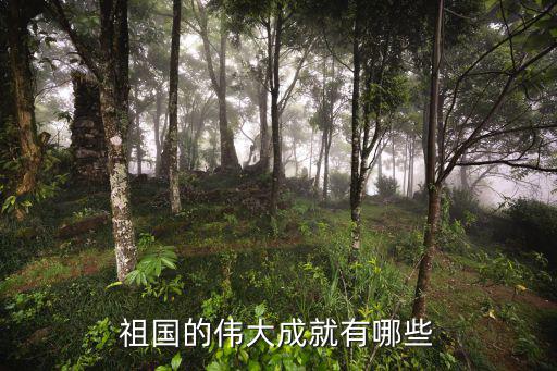 祖國的偉大成就有哪些