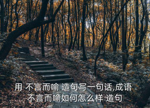 不言而喻造句,第二集:不言而喻的選區(qū)競選廣播
