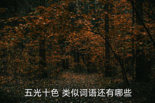  五光十色 類似詞語還有哪些