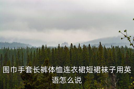 連衣裙英語，圍巾手套長褲體恤連衣裙短裙襪子用英語怎么說