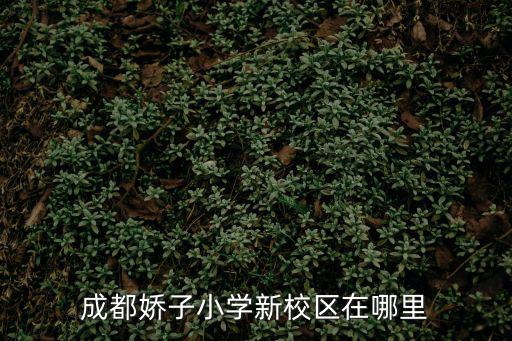 成都嬌子小學新校區在哪里