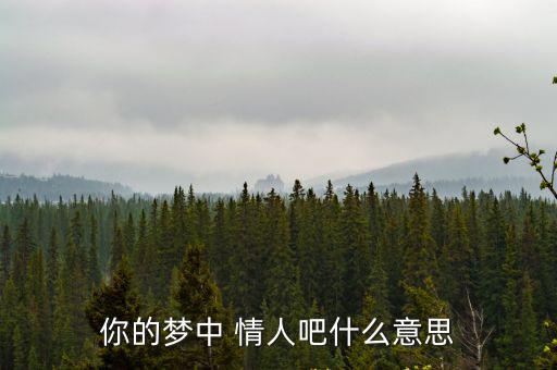 你的夢中 情人吧什么意思