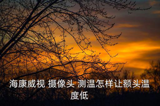 海康威視測溫安檢門，海康威視閘機多少錢一套