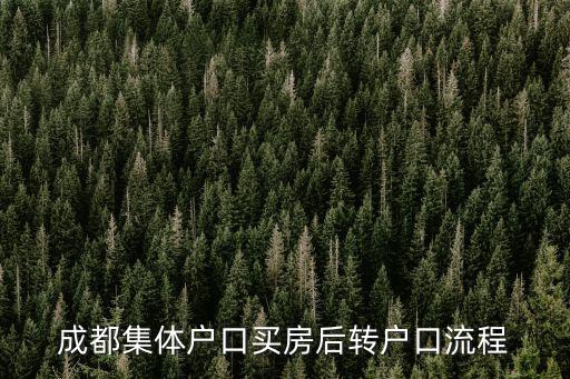 成都集體戶口買房后轉(zhuǎn)戶口流程