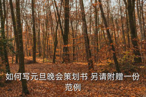 如何寫元旦晚會策劃書 另請附贈一份范例