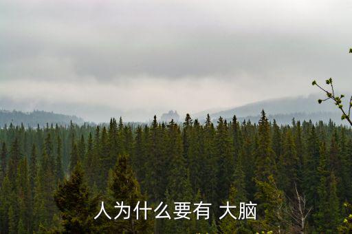 人為什么要有 大腦
