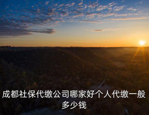 成都社保代繳公司哪家好個人代繳一般多少錢