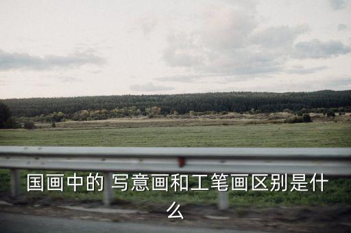  國畫中的 寫意畫和工筆畫區別是什么