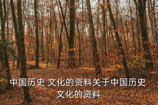 中國(guó)歷史 文化的資料關(guān)于中國(guó)歷史 文化的資料