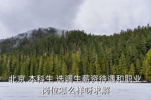 2023年北京選調生職位表，2013北京選調生考試職位表下載
