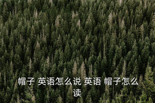  帽子 英語怎么說 英語 帽子怎么讀