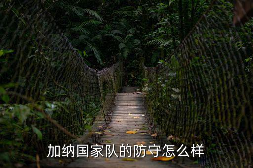 加納國家隊的防守怎么樣
