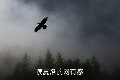 讀夏洛的網有感，夏洛的網讀后感