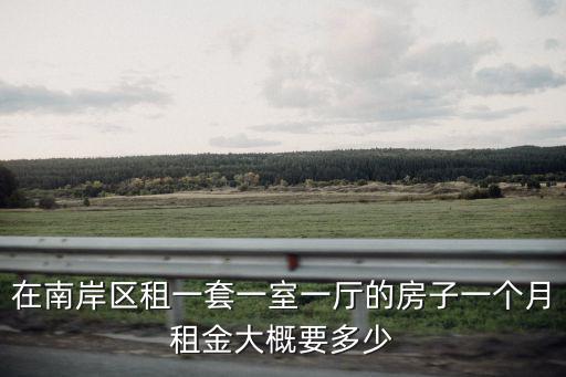 在南岸區租一套一室一廳的房子一個月租金大概要多少
