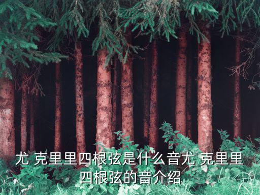 尤克里里幾根弦,你克里有四根弦嗎?一起來聽聽!