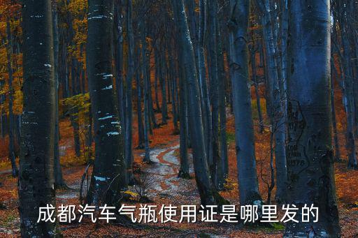 成都汽車氣瓶使用證是哪里發的