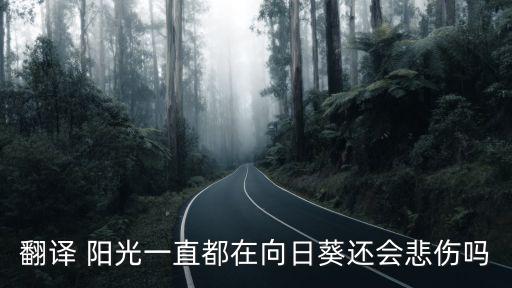 陽光一直都在，名人知道陽光一直都在的故事