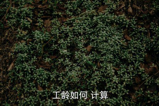 工齡計(jì)算,三種計(jì)算方法助你計(jì)算工齡