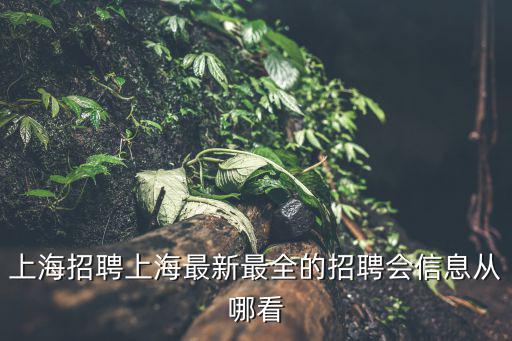 上海招聘上海最新最全的招聘會信息從哪看