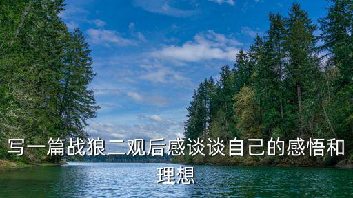 戰(zhàn)狼2觀后感，戰(zhàn)狼2的簡單觀后感