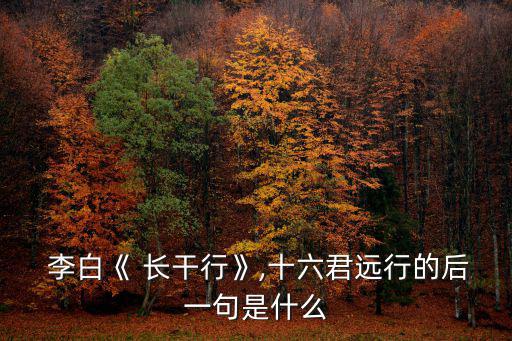 李白長干行,西門深處走人不見影子長干行在我身后