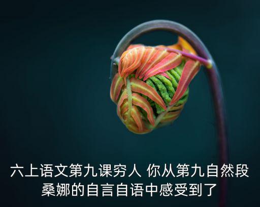 窮人教學(xué)反思，六上語文第九課窮人 你從第九自然段桑娜的自言自語中感受到了