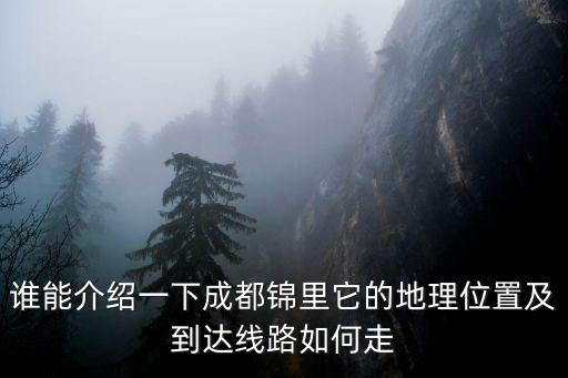 誰能介紹一下成都錦里它的地理位置及到達線路如何走