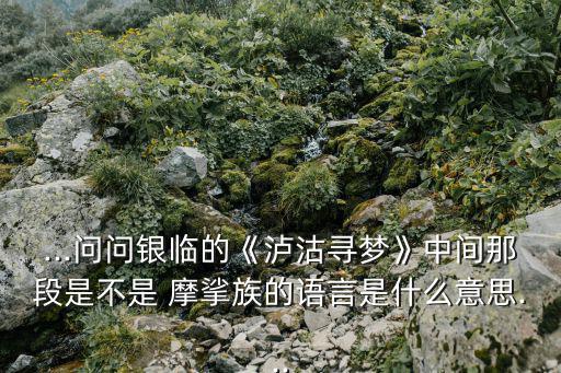 摩挲族,彝族青年男女自由結婚父子聯名成為家族家譜