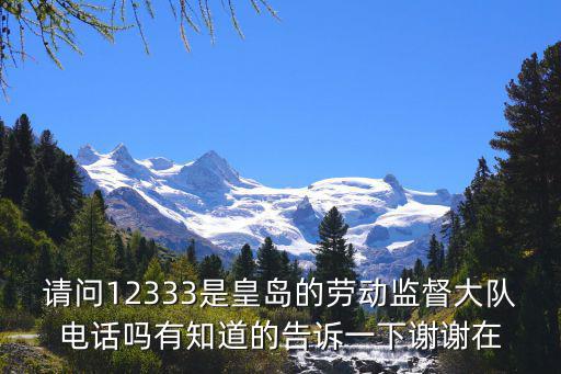 請問12333是皇島的勞動監(jiān)督大隊電話嗎有知道的告訴一下謝謝在