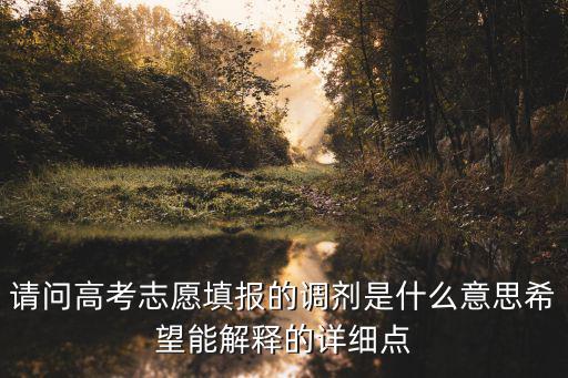 志愿調(diào)劑，中考志愿調(diào)劑什么意思思
