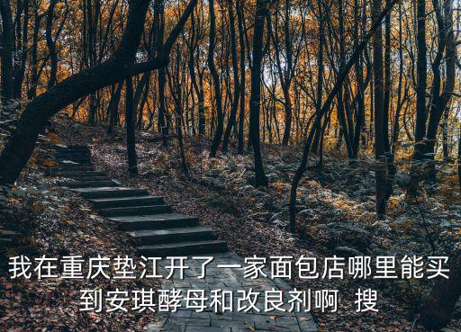我在重慶墊江開了一家面包店哪里能買到安琪酵母和改良劑啊  搜