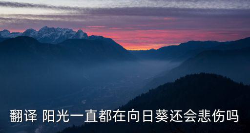 翻譯 陽光一直都在向日葵還會悲傷嗎