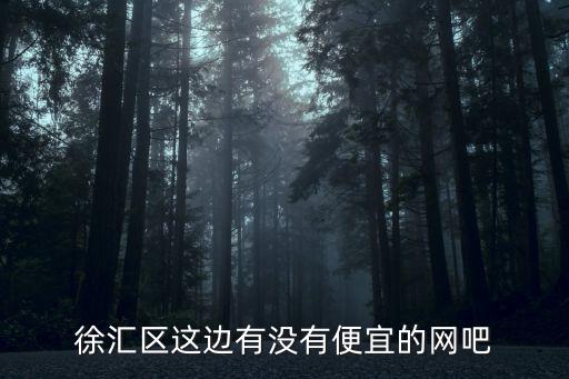 徐匯區這邊有沒有便宜的網吧