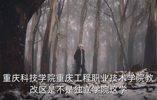 重慶科技學院重慶工程職業技術學院教改區是不是獨立學院這學