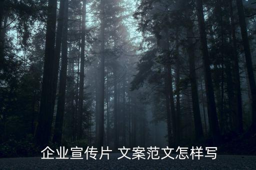  企業(yè)宣傳片 文案范文怎樣寫